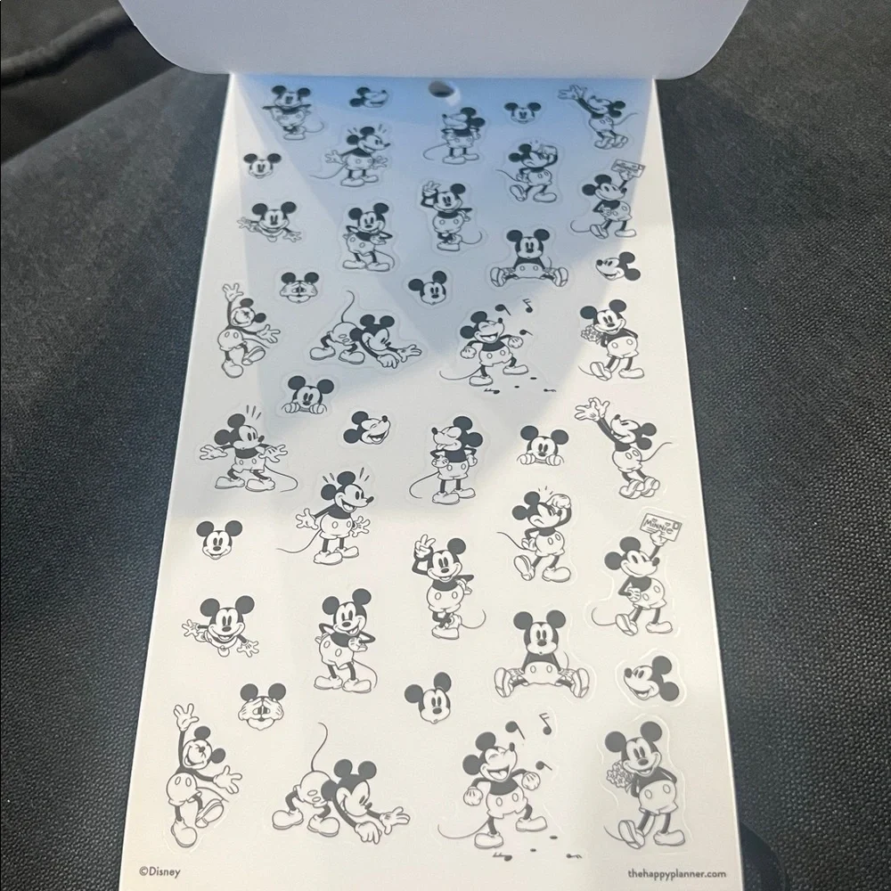 The Happy Planner new disney